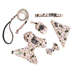 Doodle Couture Champs & Treats Harness Set